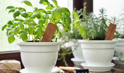 Why is it smart to check pot weight before buying if you live on an upper floor balcony?
