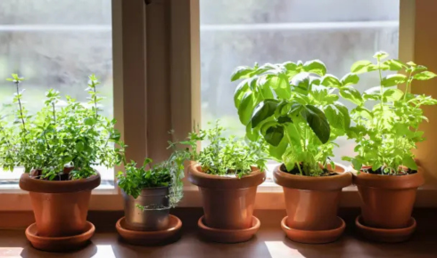 How can hanging planters free up ground space while still adding lots of greenery?